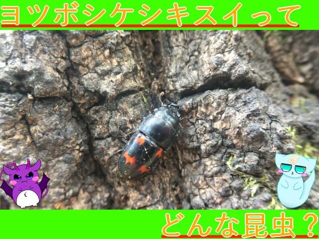 Thumbnail of post image 157